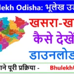 Odisha Bhulekh - Land Records check online